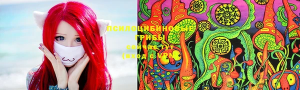 наркотики Алексин