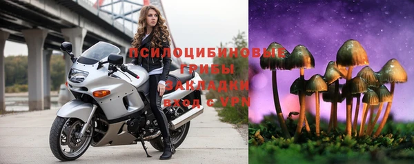 ECSTASY Абдулино