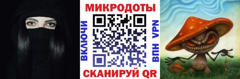 как найти наркотики  Донской  Галлюциногенные грибы мицелий 